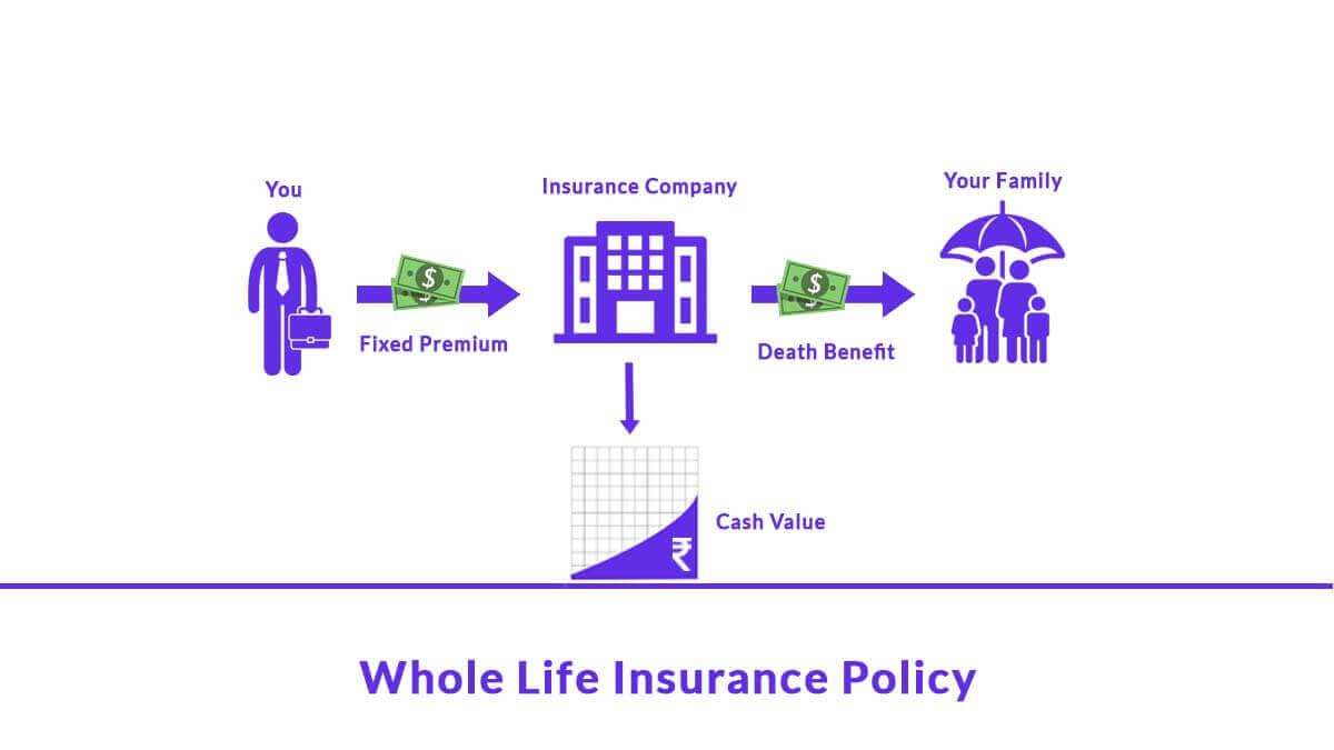 Image of Whole Life Insurance Policy – Benefits, Prices, Types, Riders