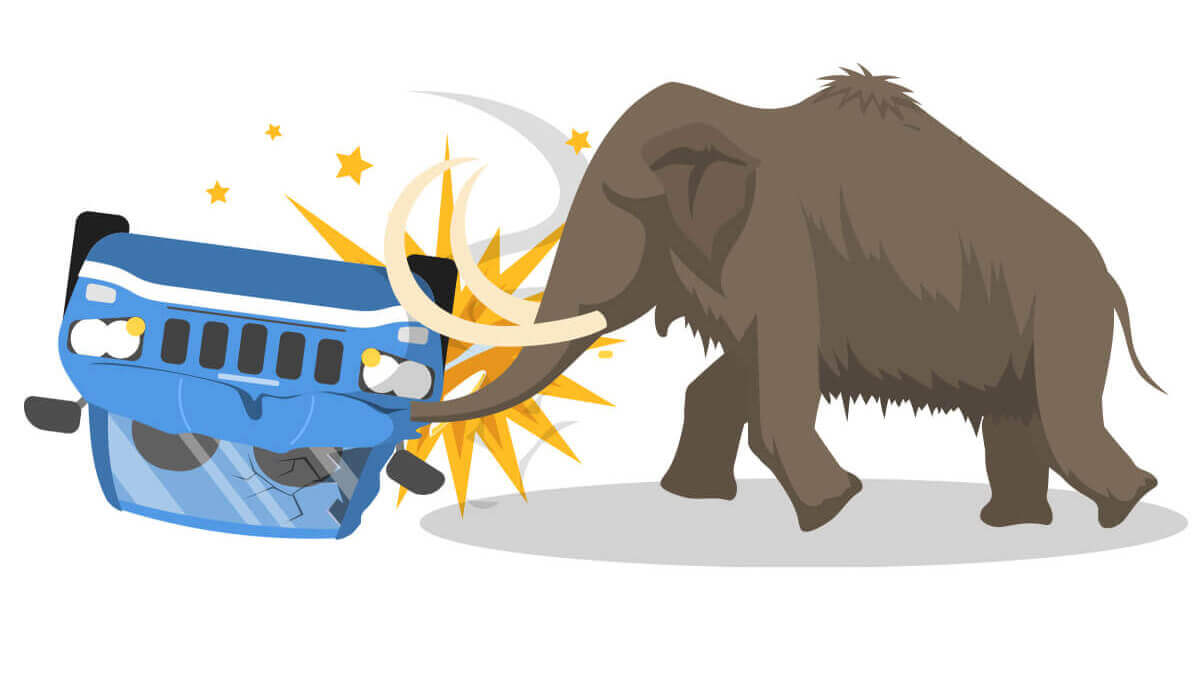 Does your Car Insurance cover Animal Attack?
