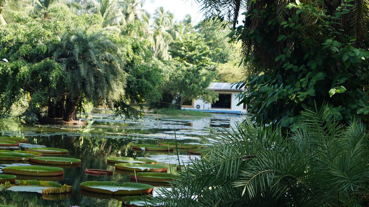 Andhra Pradesh