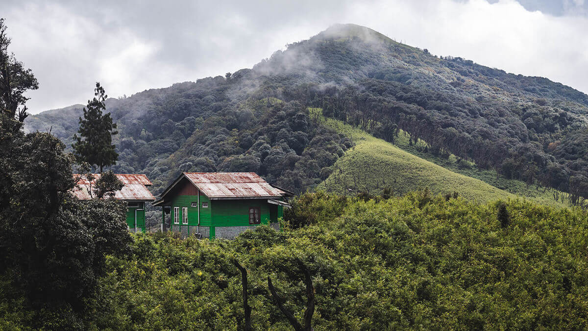 Nagaland