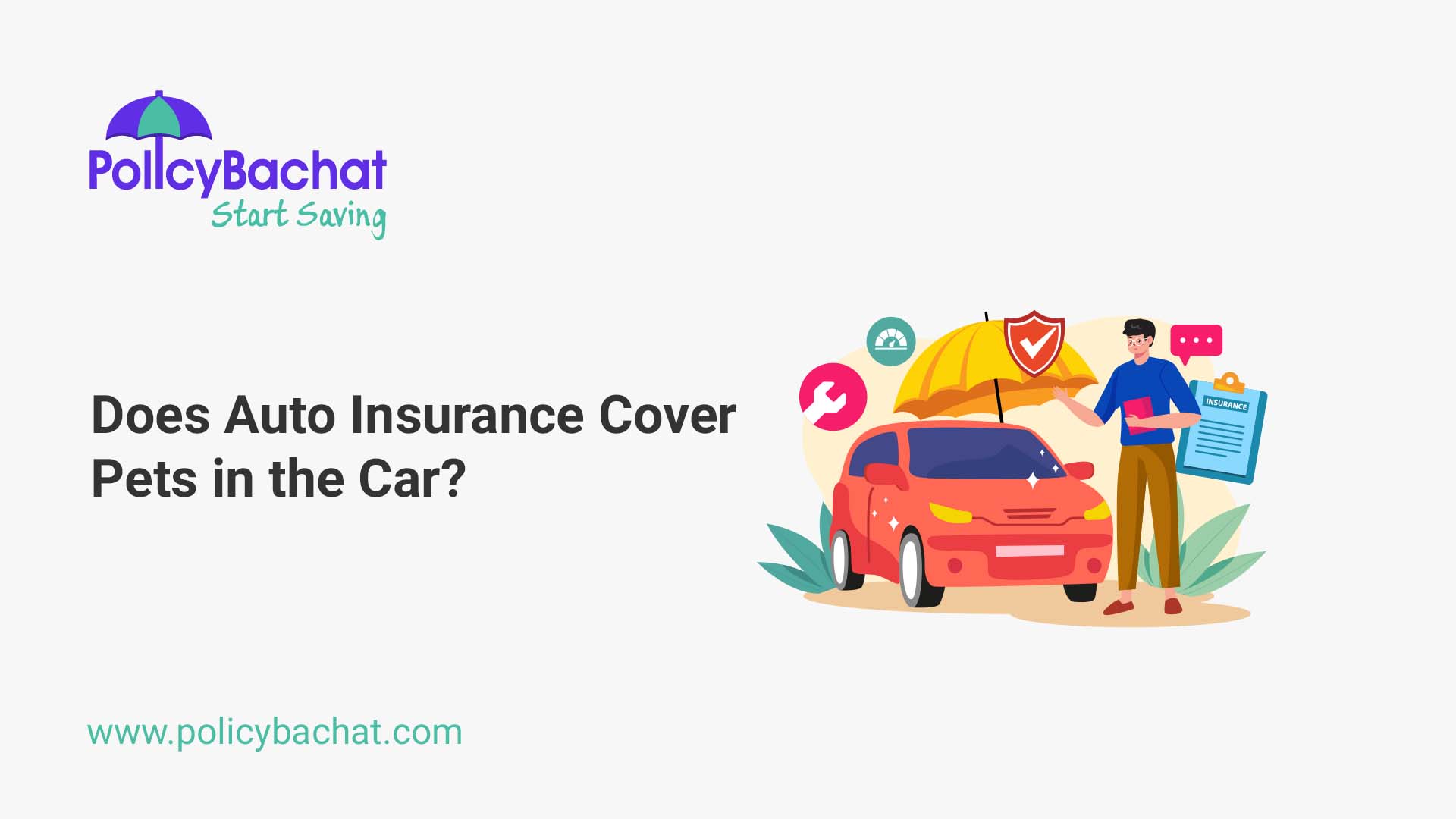 Does Auto Insurance Cover Pets in the Car? PolicyBachat