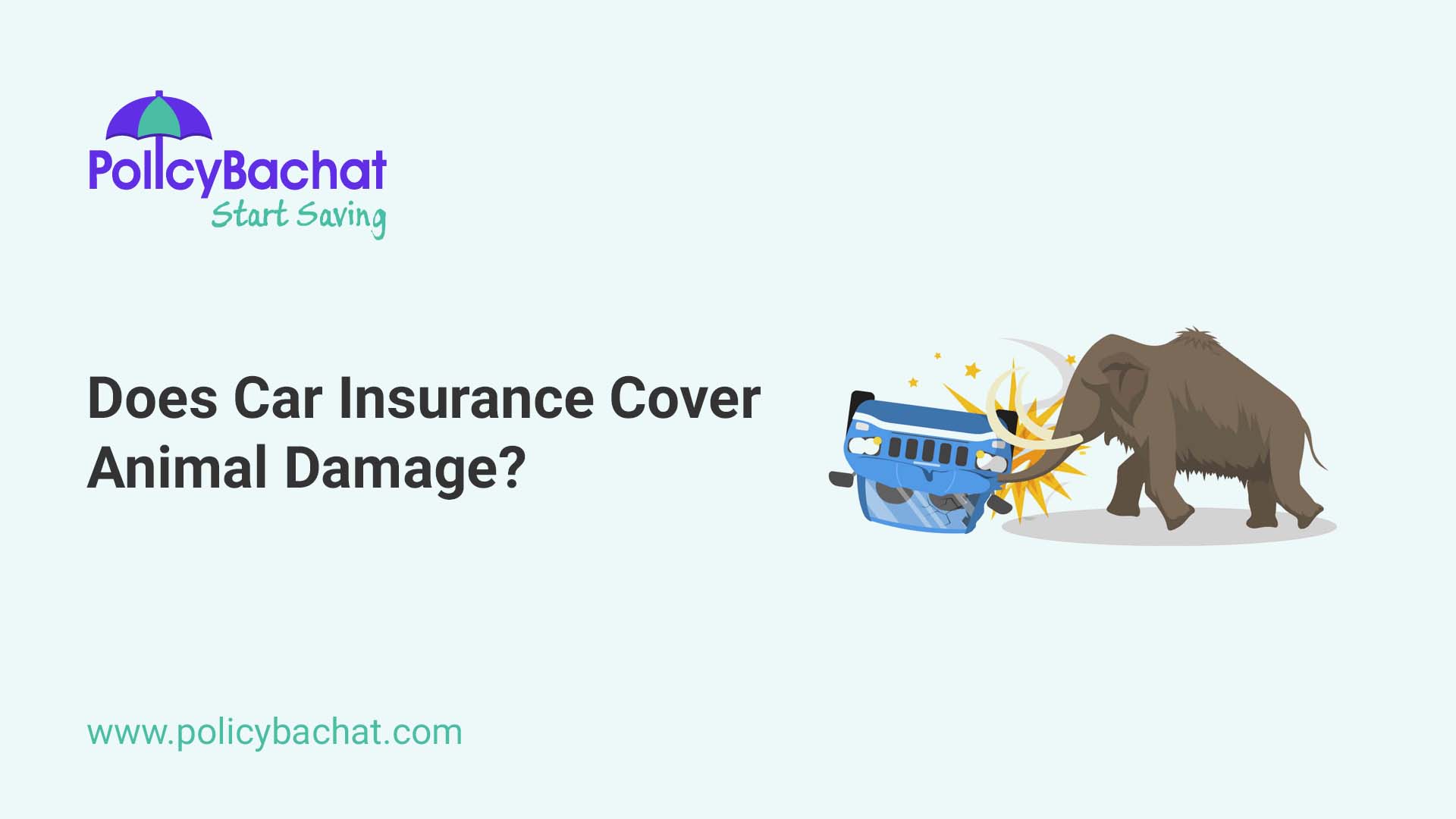 Does Car Insurance Cover Animal Damage? - PolicyBachat Does Car Insurance Cover Animal Damage? - PolicyBachat