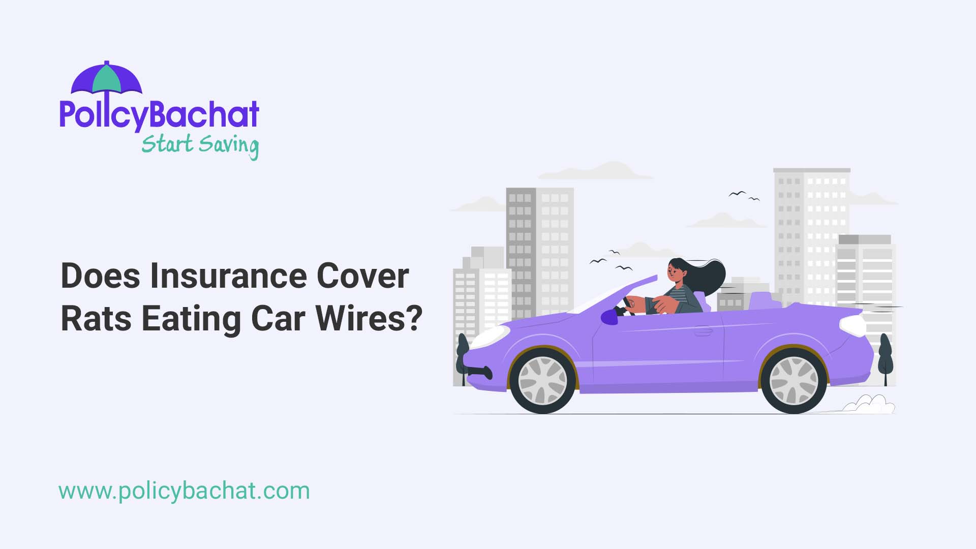 Does Insurance Cover Rats Eating Car Wires? PolicyBachat