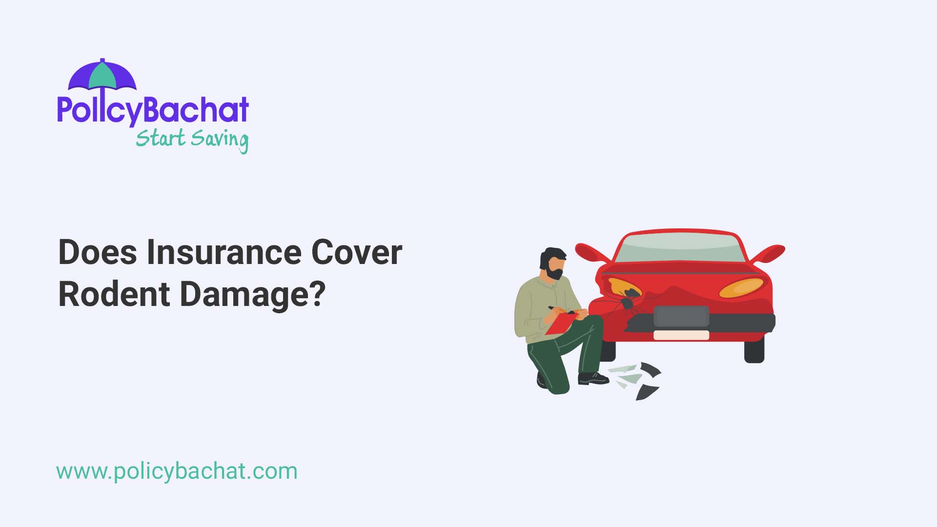 Does Insurance Cover Rodent Damage? PolicyBachat