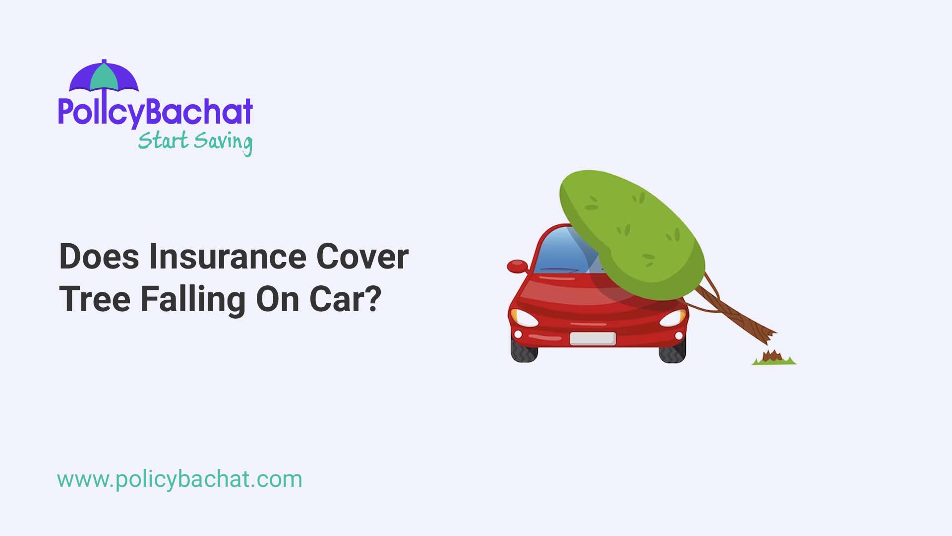 does-insurance-cover-tree-falling-on-car-policybachat